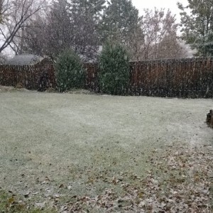 Starting to stick