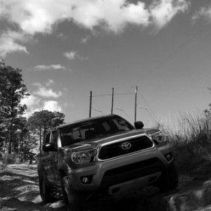 Power Line BW