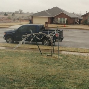 My poor tree