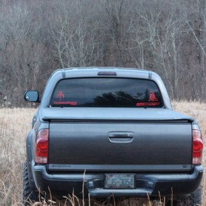 rear view