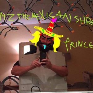 Jamz The Mexican Shrek Princess