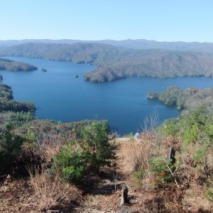 scenic overlook