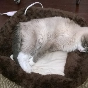 Straight up lounging