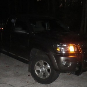 Trk1