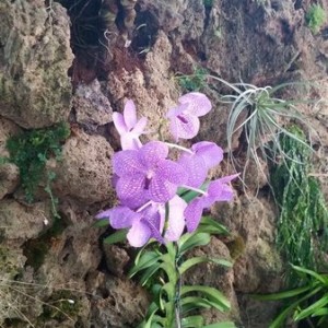 20150725_155910