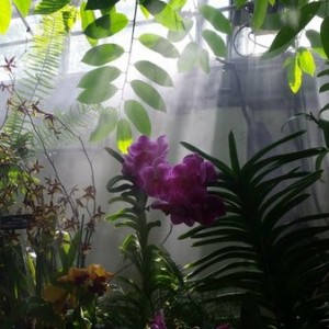 20150725_155936