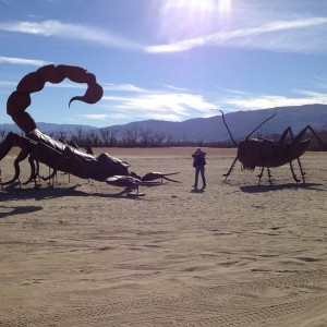 Out in Borrego Springs.