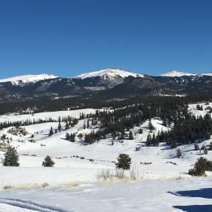 IMG_1291