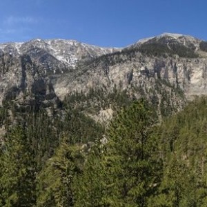 IMG_5685