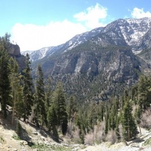 IMG_5706