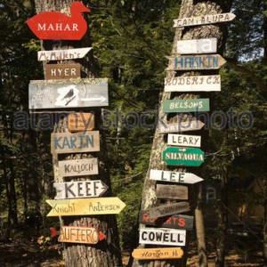 Camp-signs-on-tree-lakes-region-western-maine-AY0ETM