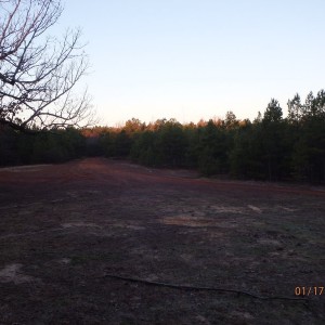 P1170412
