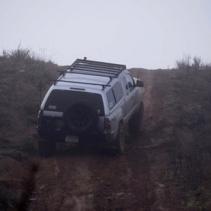 livexYM32s.jpg