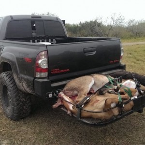 king ranch