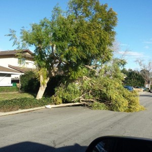 The great Santa Barbara wind storm of 2016. Haha!