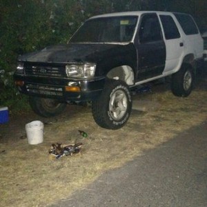 The project