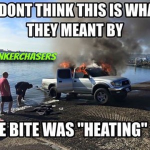 Yota