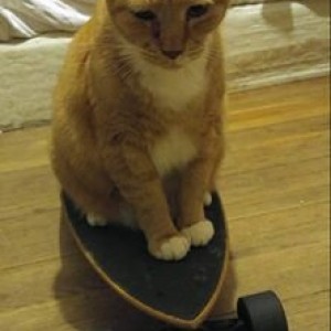 Cole Is Bitch On Longboard