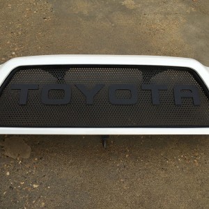 Satoshi-grille-01