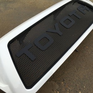Satoshi-grille-04