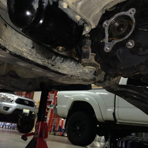 TacoStig_build_147