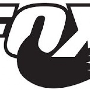Fox Logo