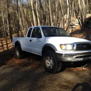 taco in the driveway