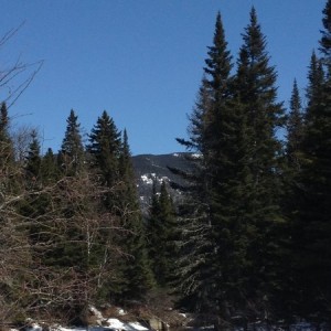 Maine crisp blue sky