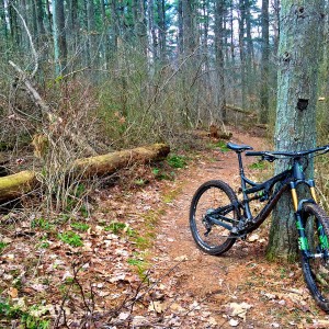 FCSP singletrack