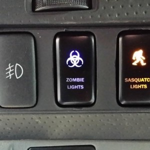 Switches CU Day