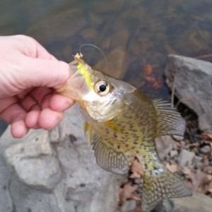 20160310_173431