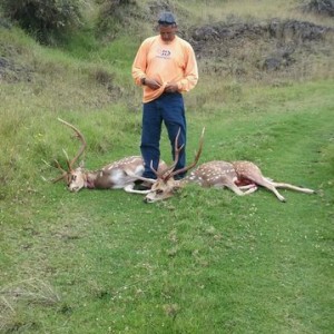 My dad with our axis bucks