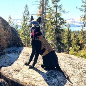 Time for spring hikes!