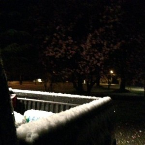 Winter or spring?