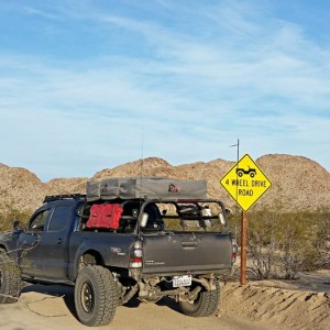 At Joshua Tree