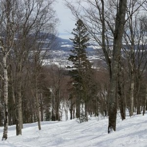 This message is brought to you by Rogers Spring skiing @mont st anne qc