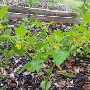 20160329_090041