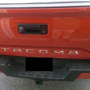 IMAG0231