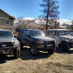 It may be time to thin the herd
