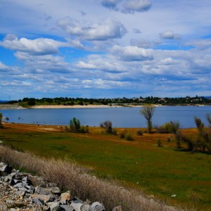 DSC04478