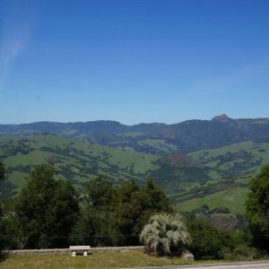 DSC04974
