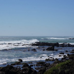 DSC04989