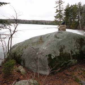 Austin Erratic
