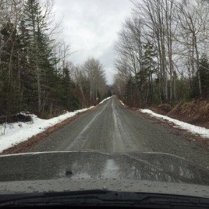 BMR Conditions