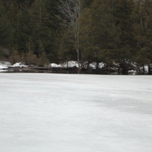 Little Austin Open Water