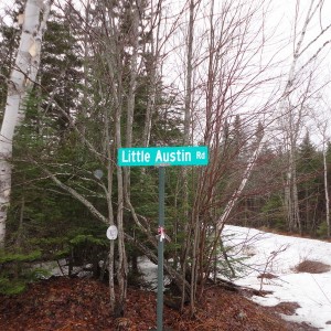 Little Austin Sign