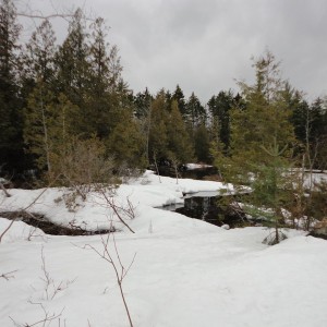 Little Austin Snowpack