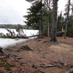 Main Campsite 3