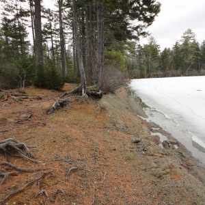 Main Campsite