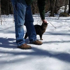 Cat Now